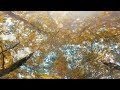 Absolutely amazing performance of GoPro 11