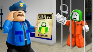 Unexpected Jailbreak: Mikey is Criminal ? | Maizen Roblox | ROBLOX Brookhaven RP  FUNNY MOMENTS
