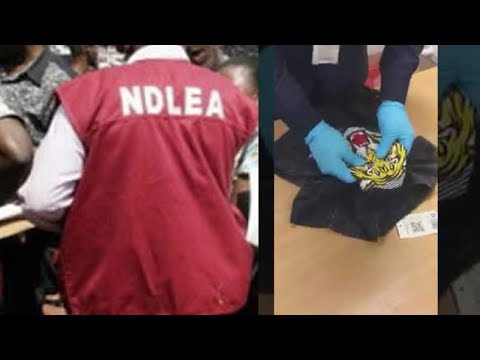 SEE HOW NDLEA BURST COCAINE  INSIDE T-SHIRT AT LAGOS AIRPORT
