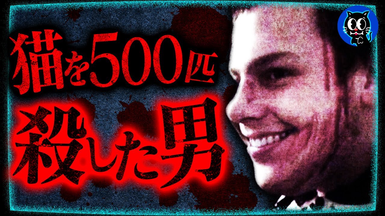 【実話】街から消えた500匹の猫…それは始まりに過ぎなかった