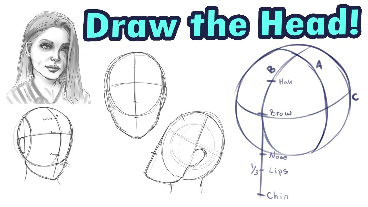 How To Draw The Head Looking Up Or As Seen From Below Artofit - Vrogue