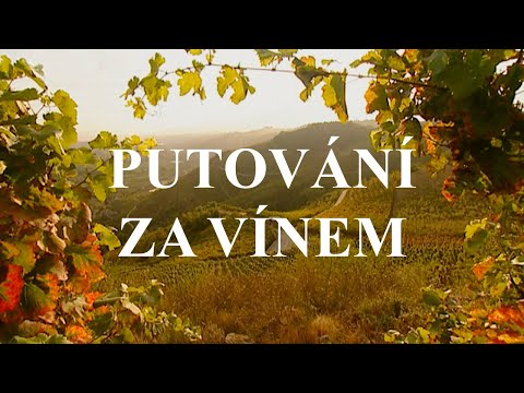 Video: Beaune a burgundská vinařská oblast Francie