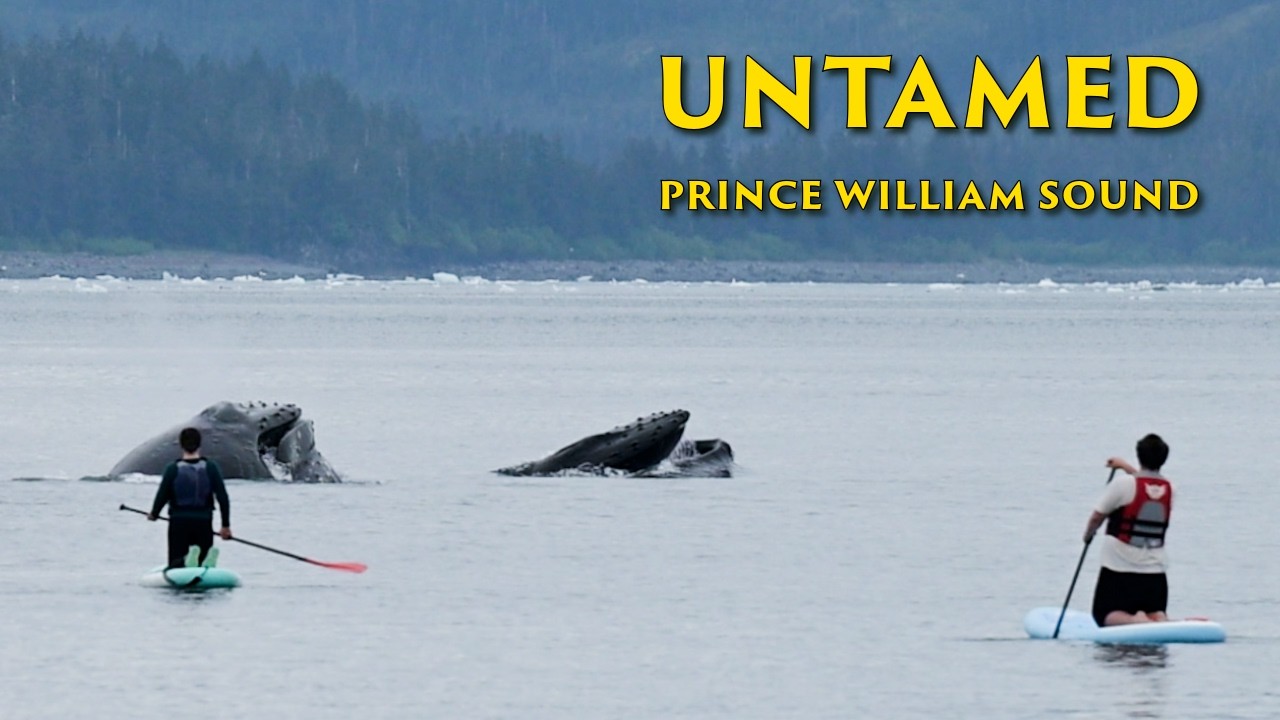 ⁣What We Discovered in Prince William Sound...