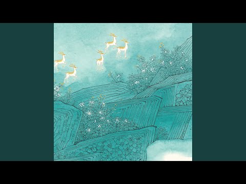 梨花瘦 (DJ版)
