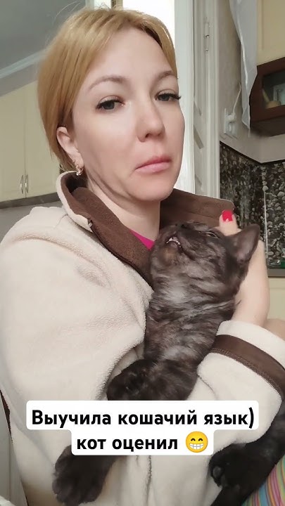 Кот сначала не понял, а потом как понял 😁#молдова#кот#кошачийязык# ...