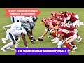 NCAA Week 10 and NFL Week 9 Recap
