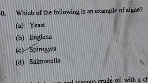 AMU Class 9th Solved entrance  Question paper 2019 (Science detailed Solution)