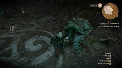 The Witcher 3: Wild Hunt._._. How did it not crash