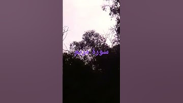 سورة مريم رضي الله عنها
