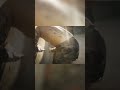 Unleash the Bare-Knuckle Brawl #shorts