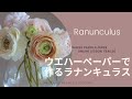 ウエハーペーパーラナンキュラス（予告編）*Wafer Paper Ranunculus Online lesson/Trailer*