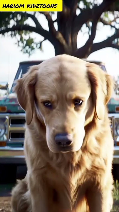Kutte Ki Wafa Ko Salaam – True Story |🤗#shorts #shortvideo  #truck #aiart #viralvideo #viralshort