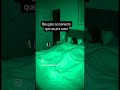 O 🐀 chega a passar o rabo no bigode deles. kkkkkk #humor #gatos #engraçado #humormemes #viral