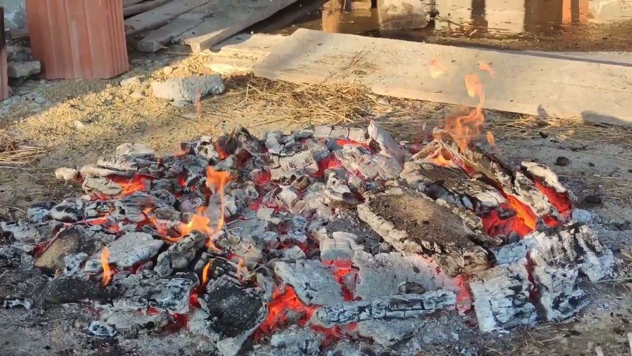 Jak spalać kości, aby mieć doskonały nawóz w ogrodzie? Praktyczny poradnik 