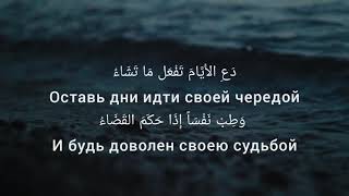 Арабские стихи, Шафии, с переводом, лучший нашид