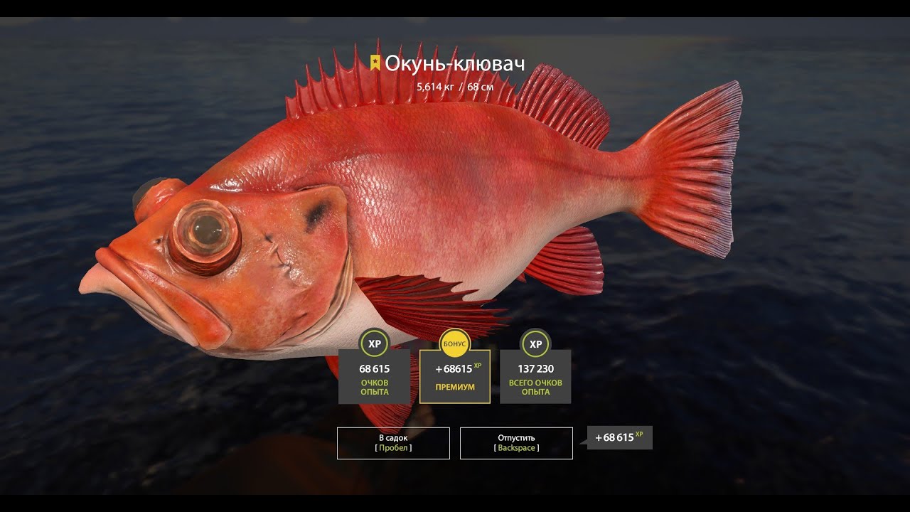 карта русская рыбалка 4 северский донец. русская рыбалка 4 яма. рр4 яма. рр4 яма. яма рр4.