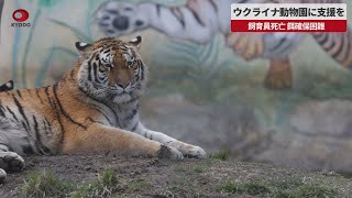 【速報】ウクライナ動物園に支援を 飼育員死亡、餌確保困難