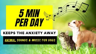 Dog DESENSITIZATION Sounds + Anti Anxiety Music For Dogs | ANIMAL SOUNDS