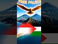 Indonesia #palestine #garuda #shorts