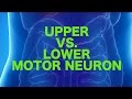 Upper vs. Lower Motor Neuron Lesions || USMLE