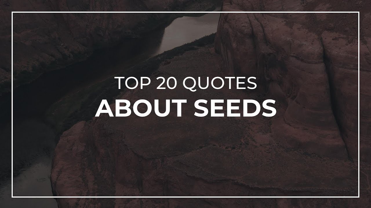 TOP 20 Quotes about Seeds Quotes for You Quotes for Pictures YouTube
