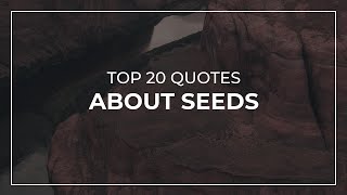TOP 20 Quotes about Seeds | Quotes for You | Quotes for Pictures screenshot 3