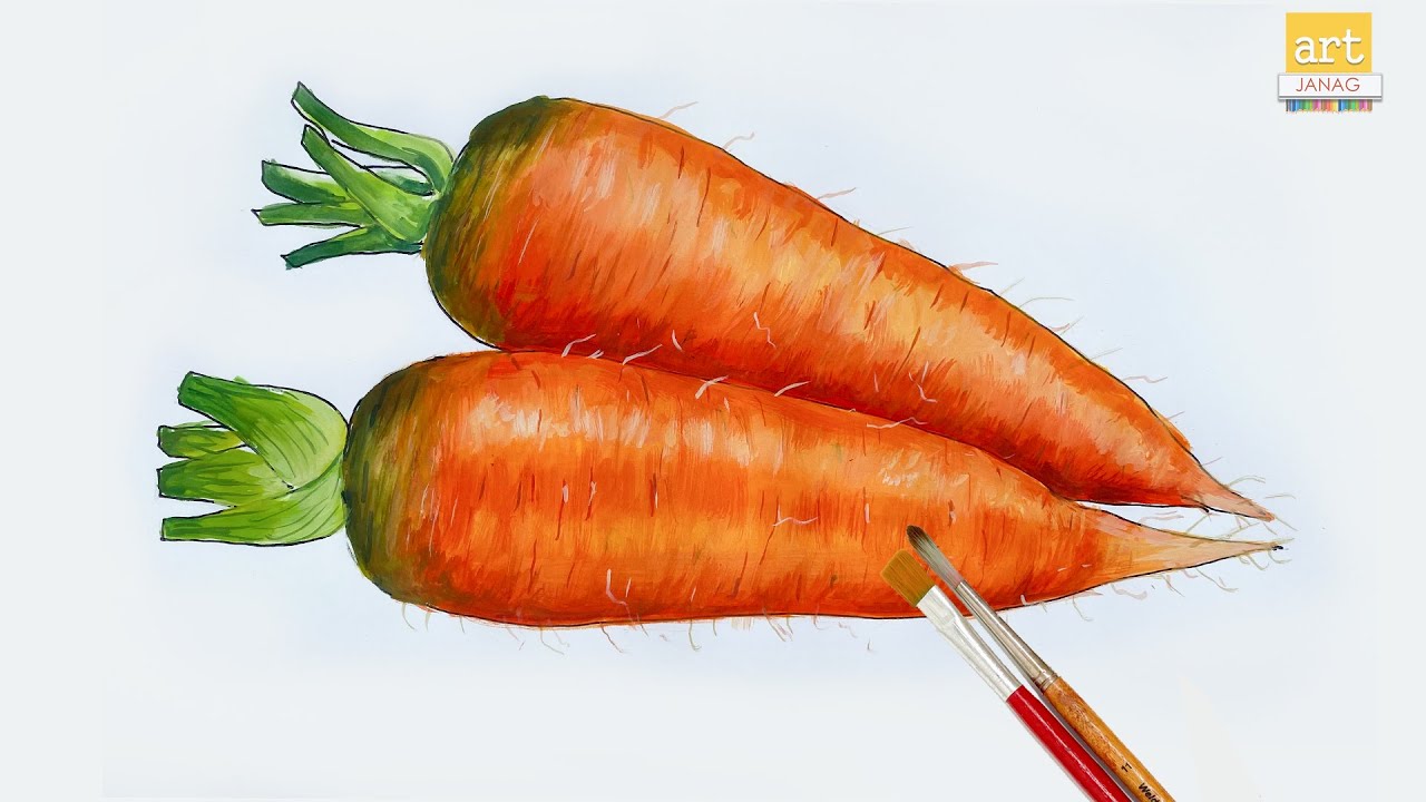 How to Draw a Carrot II Art II How to draw Vegetables II artjanag