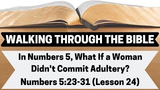 In Numbers 5, What If a Woman Didn't Commit Adultery? [Numbers 5:23-31][Lesson 24][WTTB]