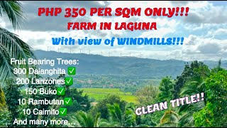 (PROPERTY#76) PHP 350 PER SQM - CLEAN TITLE - FARM IN LAGUNA WITH VIEW OF WINDMILLS!