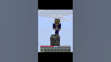 Minecraft but random item...