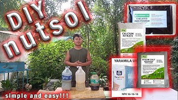 HOW TO MAKE DIY NUTRIENT SOLUTION FOR HYDROPONIC LETTUCE / PAANO GUMAWA NG DIY NUTRIENT SOLUTIONS