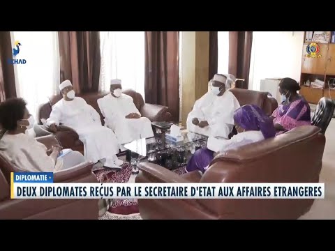 DIPLOMATIE - Audiences diplomatiques au Secrétariat d'État aux Affaires Etrangères