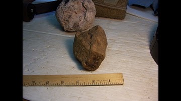 Mainstream Geology  Smothered by Mudfossils