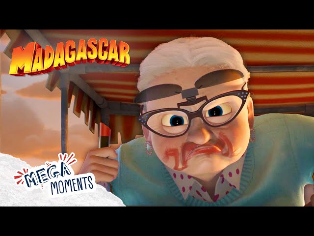 Nana Faces Alex 🦁 | Madagascar | Clips | Mega Moments - YouTube