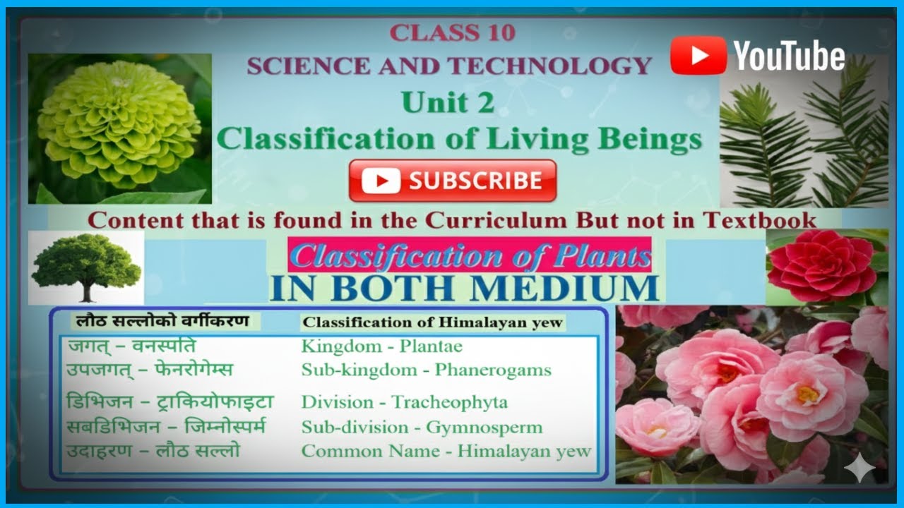 🎯SEE Success: Important Note 12. |Science & Technology: Unit 2. Part -7. Classification of Plants|