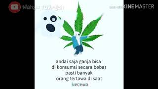 Story WA Rasta terkini