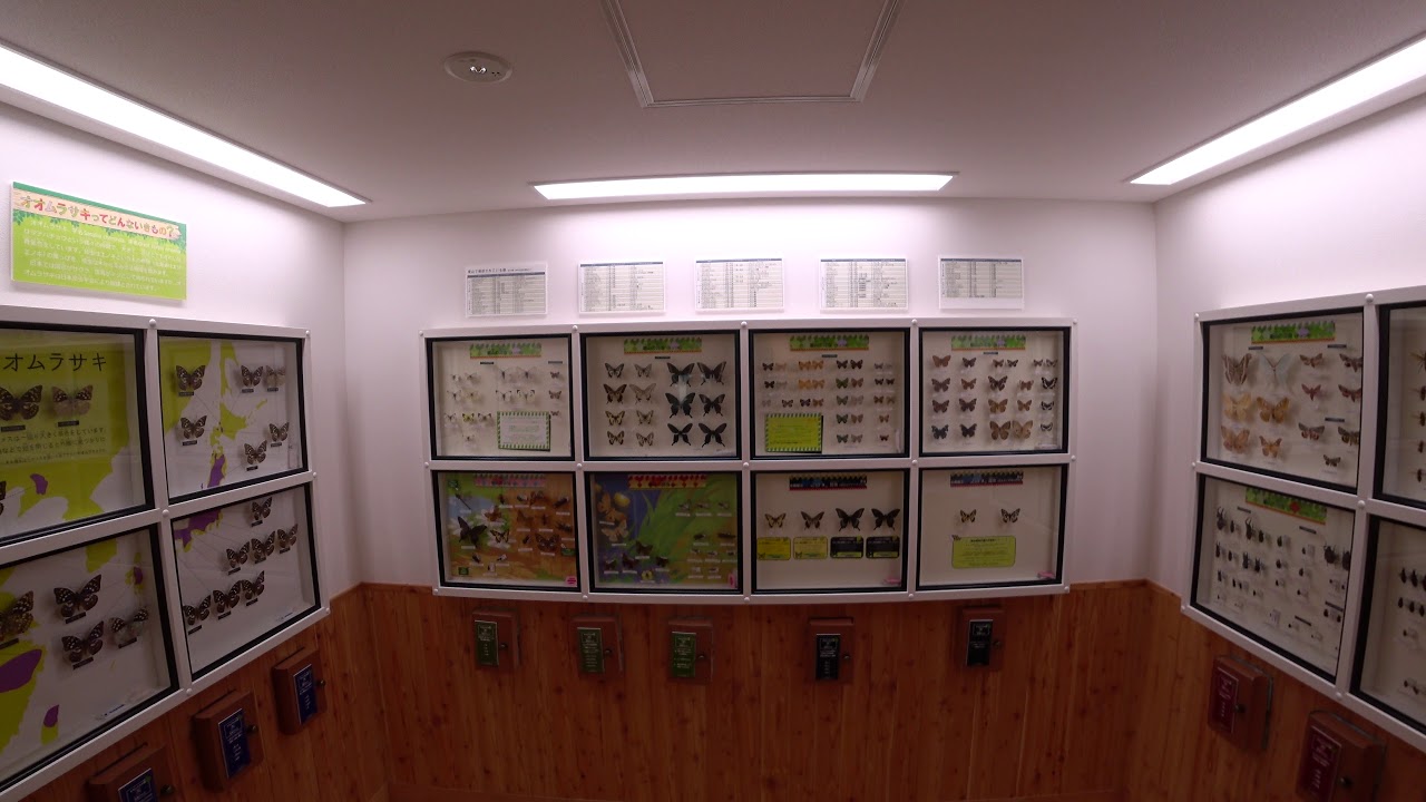 video to gif 北海道観光動画（栗山町）4K対応 Videos taken in Hokkaido