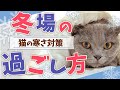 【冬の過ごし方】猫の「寒い時のサイン」知っていますか！？猫ブリーダーが防寒対策の方法とオススメグッズをご紹介します！