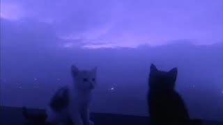 Lonnex - Losing (Slowed + Reverb) [1 Hour Version]