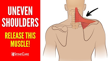 #1 Muscle to Release to Fix Your Uneven Shoulders