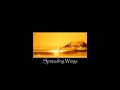 Gabriel Yared Spreading Wings 