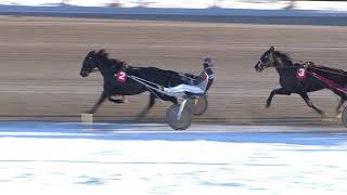 Vidéo de la course PMU PRIX STAYERLOPP