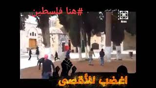  قلب المحارب سور - اسمعها