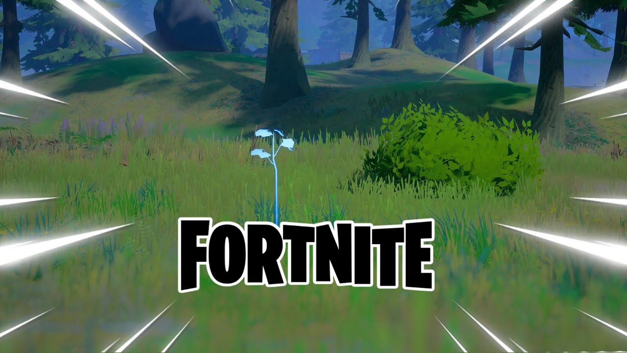 Plant Saplings at Stumpy Fork Knife food truck (3)