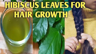 Hibiscus Leaves for Hair Growth - hibiscus for hair growth - Hibiscus leaf for hair growth - Thali screenshot 3
