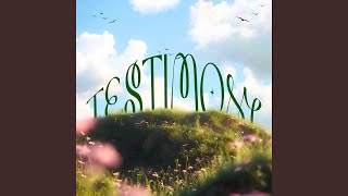 Testimony