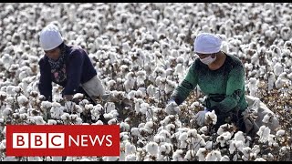 Nike and H&M face China backlash after warning of Uighur forced labour in cotton industry - BBC News