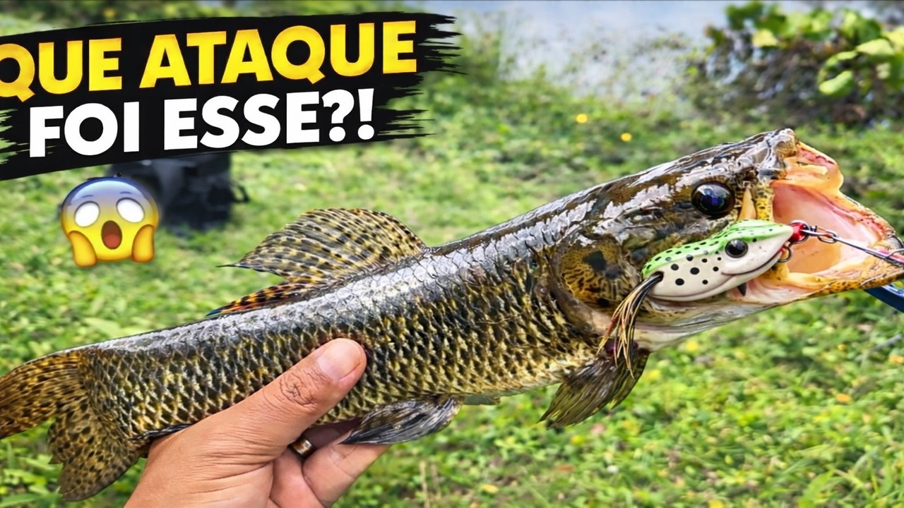 A TRAÍRA MAIS BRUTA QUE JÁ PEGAMOS NO FROGZINHO?! 🎣🔥