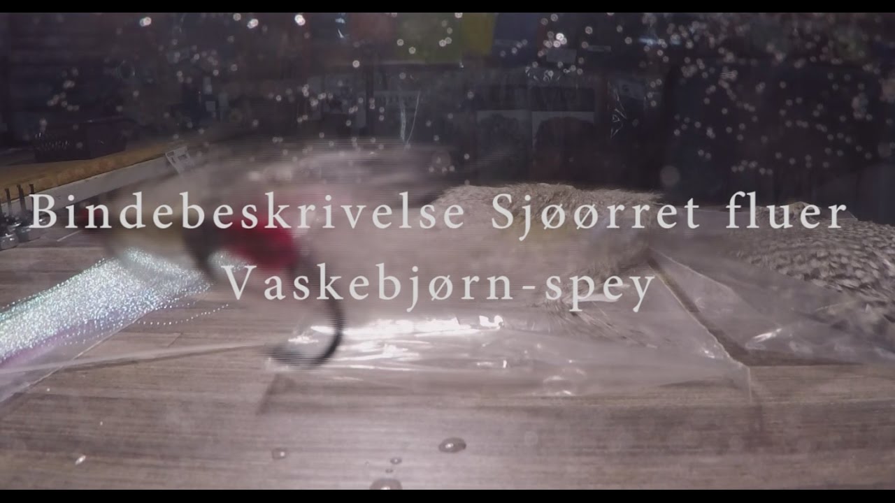 Bindebeskrivelse: Vaskebjørn-spey