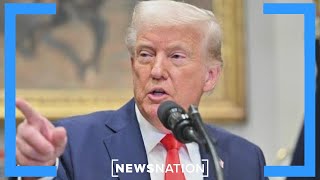 Trump questioning the constitution 'very dangerous': Democratic strategist | NewsNation Now